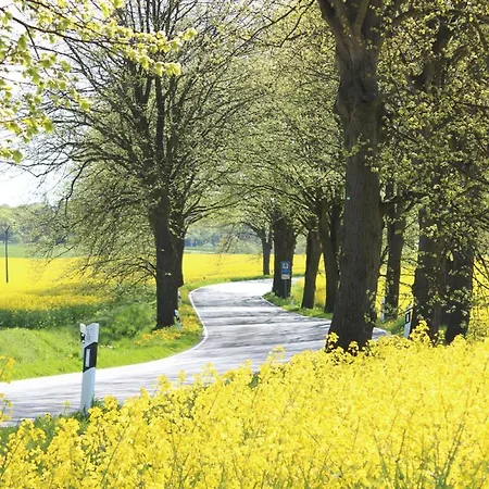 Herrenhaus App.03 アパート